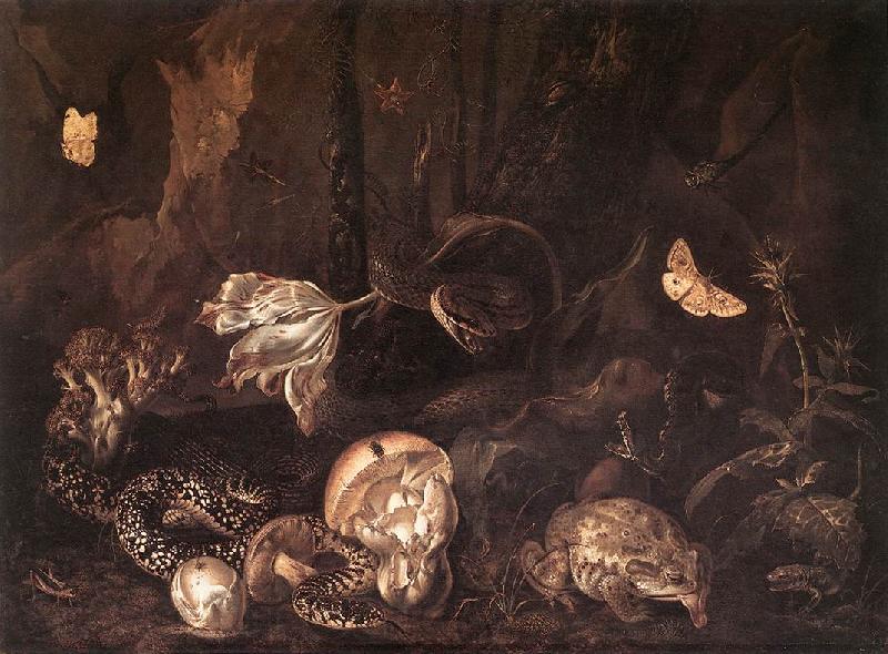 SCHRIECK, Otto Marseus van Still-Life with Insects and Amphibians ar France oil painting art